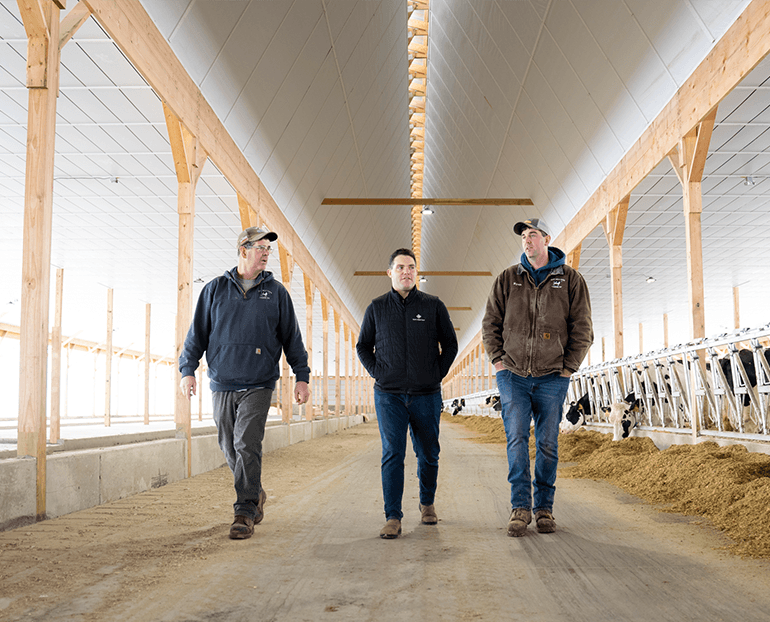 Three men walking in a dairy barn.