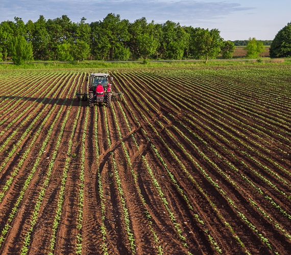Key Changes Coming to DRP, LGM and LRP Programs: What Producers Need to Know